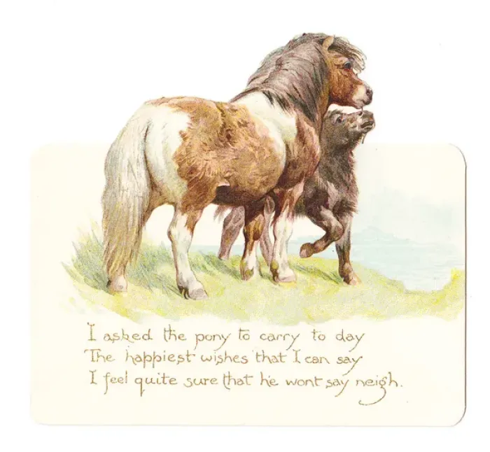 Framed Print : Two ponies on a birthday card Framed Print : Two ponies on a birthday card