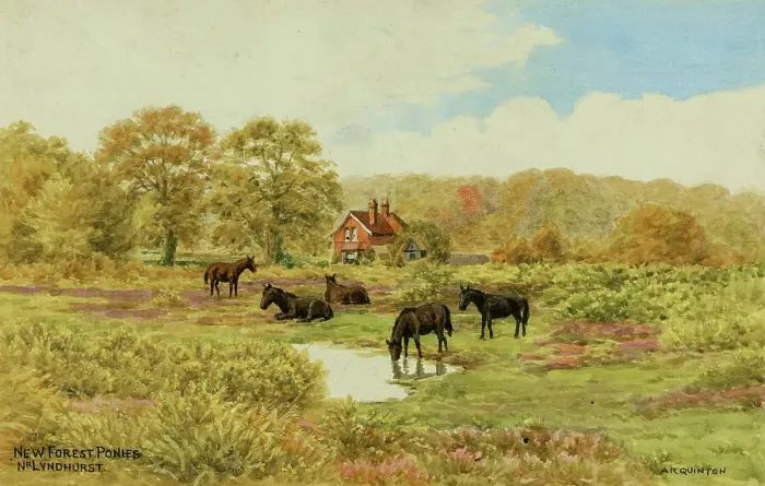 Framed Print : Ponies near Lyndhurst, New Forest, Hampshire Framed Print : Ponies near Lyndhurst, New Forest, Hampshire