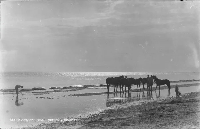 Framed Print : Ponies at Selsey Bill Framed Print : Ponies at Selsey Bill