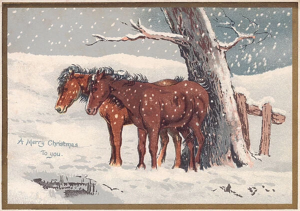 Two ponies in the snow on a Christmas card