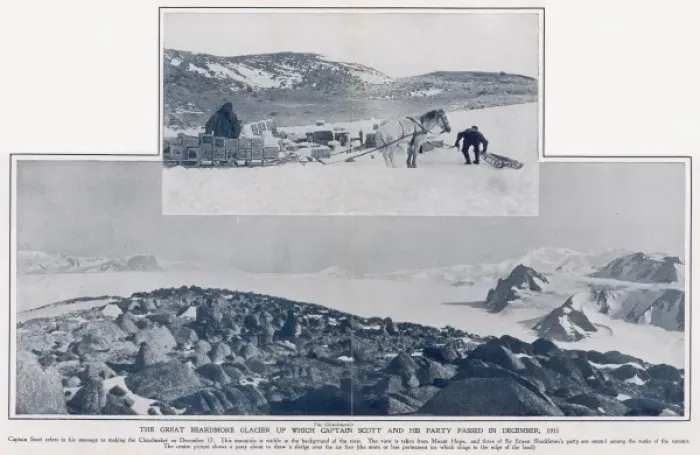 Framed Print : Pony drawing sledge in Antarctica Framed Print : Pony drawing sledge in Antarctica