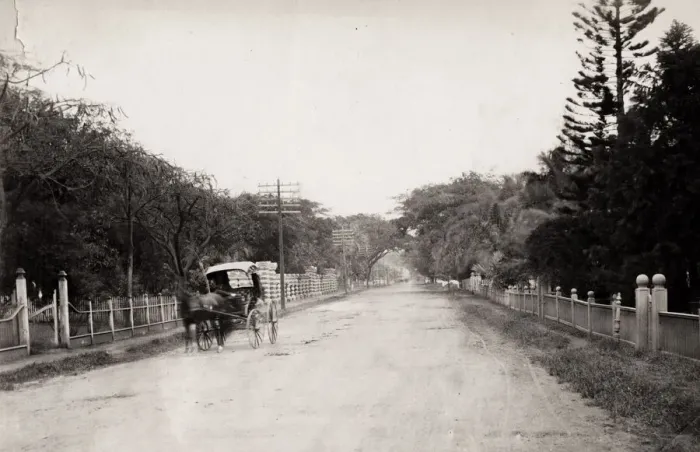 Framed Print : Pony and trap, Nuuan Avenue, Honolulu, Hawaii, Hawai i Framed Print : Pony and trap, Nuuan Avenue, Honolulu, Hawaii, Hawai i