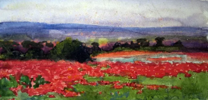 Framed Print : A poppy field, France, c 1918 Framed Print : A poppy field, France, c 1918