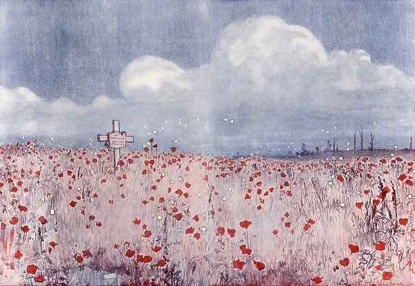 Poppy field and grave of unknown soldier