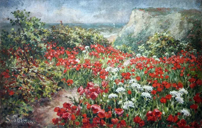 Framed Print : Poppyfield by the cliffs Framed Print : Poppyfield by the cliffs
