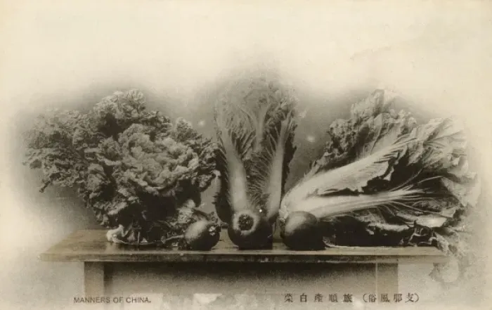 Framed Print : Port Arthur - Varieties of Chinese Vegetables Framed Print : Port Arthur - Varieties of Chinese Vegetables
