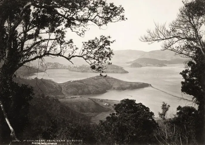 Framed Print : Port Chalmers, Dunedin, New Zealand, c. 1890 Framed Print : Port Chalmers, Dunedin, New Zealand, c. 1890