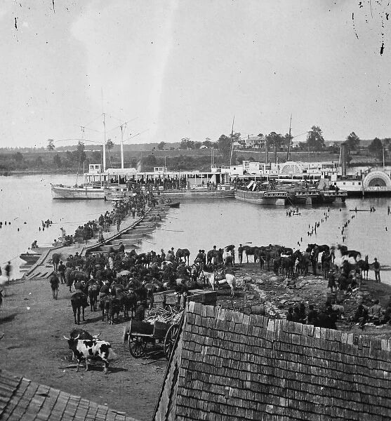 Port Royal, Va. Transports being loaded from a pontoon bridg