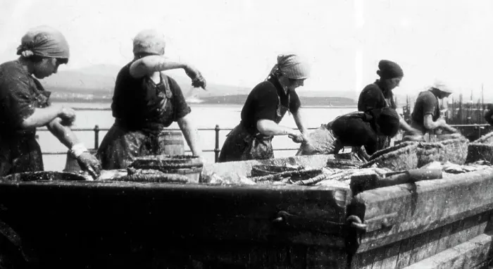 Framed Print : Port St. Mary Isle of Man gutting herring early 1900s Framed Print : Port St. Mary Isle of Man gutting herring early 1900s