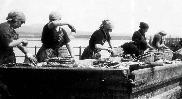 Port St. Mary Isle of Man gutting herring early 1900s