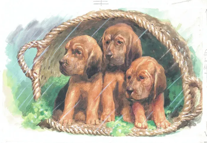 Framed Print : Any Port in a Storm Dogs Watercolour painting Framed Print : Any Port in a Storm Dogs Watercolour painting