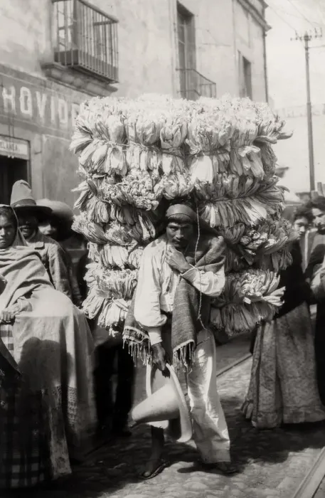 Framed Print : Porter carrying corn husks for Tamales, Mexico Framed Print : Porter carrying corn husks for Tamales, Mexico