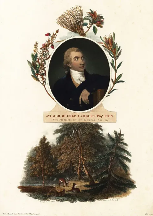 Framed Print : Portrait of Aylmer Bourke Lambert, botanist Framed Print : Portrait of Aylmer Bourke Lambert, botanist