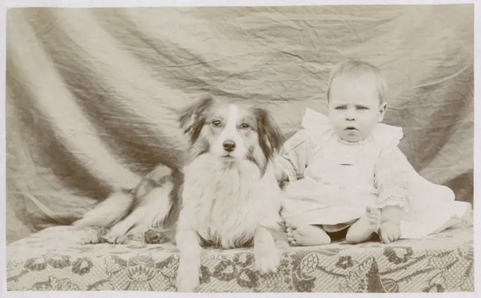 Framed Print : Portrait of baby and dog Framed Print : Portrait of baby and dog