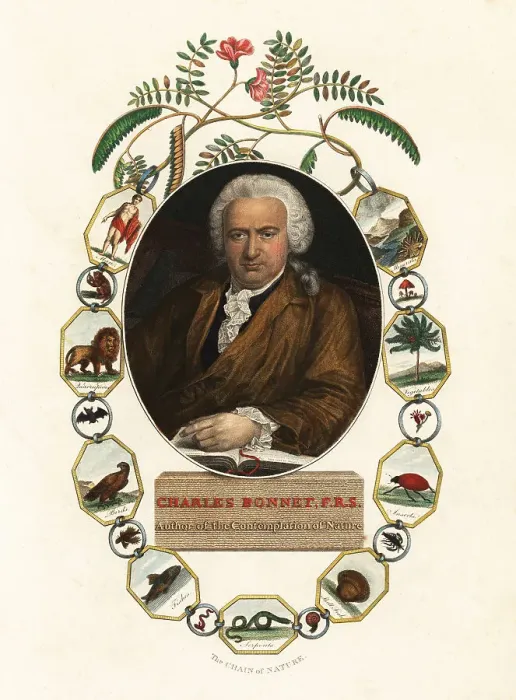 Framed Print : Portrait of Charles Bonnet, Genevan naturalist Framed Print : Portrait of Charles Bonnet, Genevan naturalist
