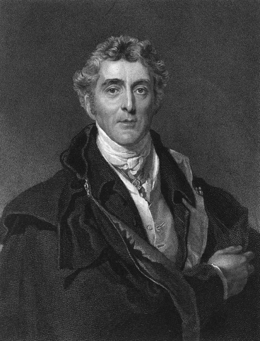 Framed Print : Portrait of the Duke of Wellington Framed Print : Portrait of the Duke of Wellington