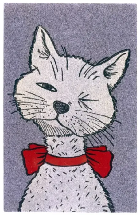 Framed Print : Portrait of Grey Cat Framed Print : Portrait of Grey Cat