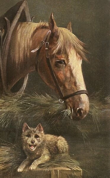 Portrait of a Horse and a young dog