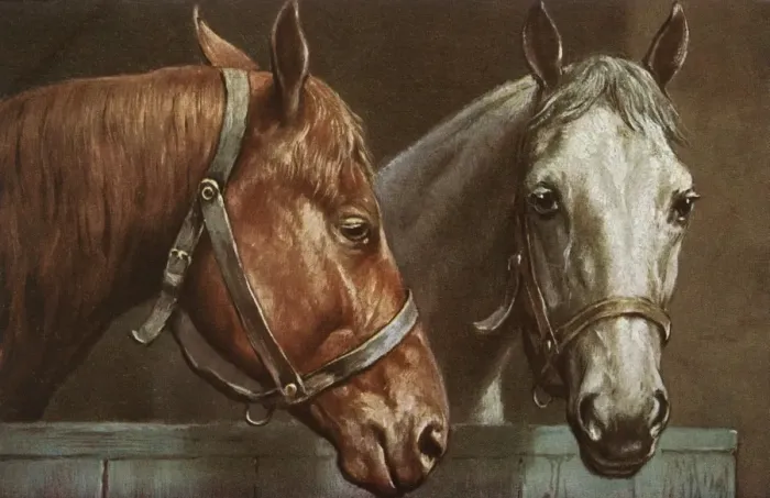 Framed Print : Portrait of two horses Framed Print : Portrait of two horses
