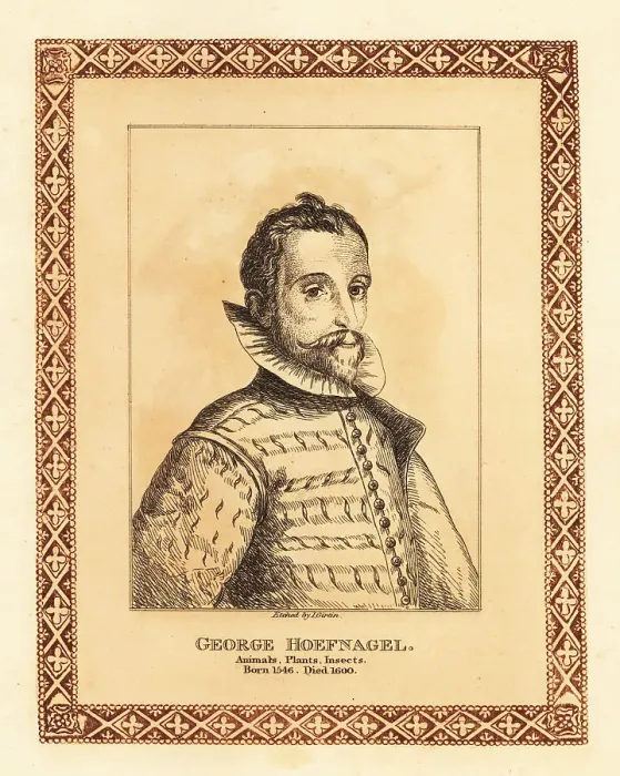 Framed Print : Portrait of Joris Hoefnagel, Flemish painter, printmaker and min Framed Print : Portrait of Joris Hoefnagel, Flemish painter, printmaker and min