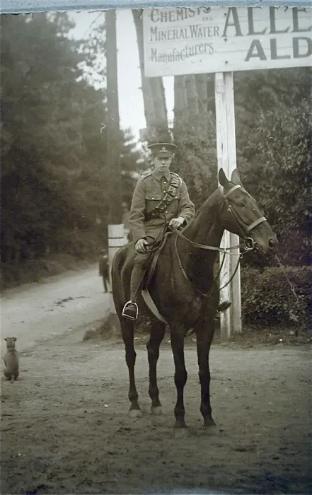 Framed Print : Portrait photograph of a Royal Artillery trooper on his hors Framed Print : Portrait photograph of a Royal Artillery trooper on his hors