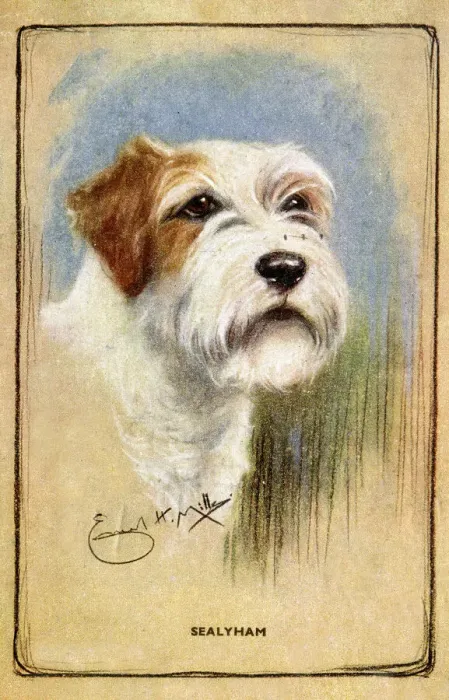 Framed Print : Portrait of a terrier on a postcard Framed Print : Portrait of a terrier on a postcard