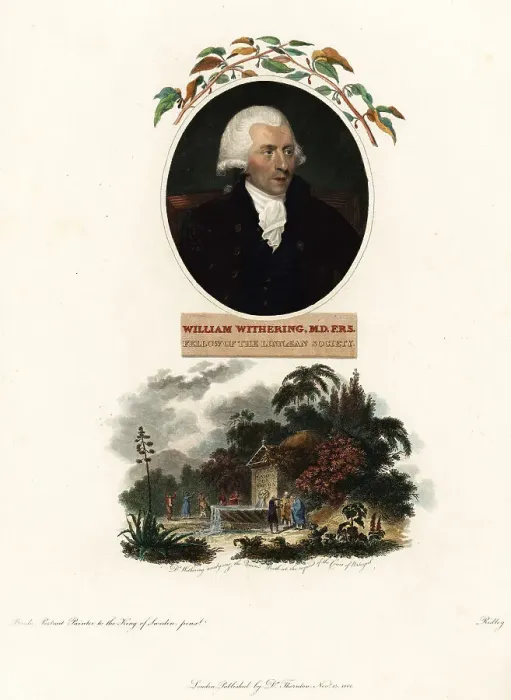 Framed Print : Portrait of William Withering, physician and botanist, 1741-1799 Framed Print : Portrait of William Withering, physician and botanist, 1741-1799
