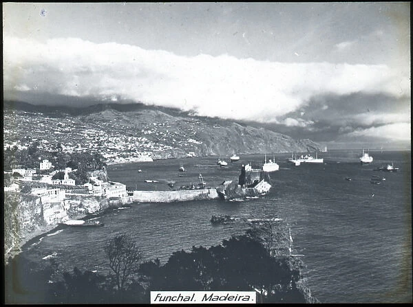 Portugal - The Town and Harbour, Funchal