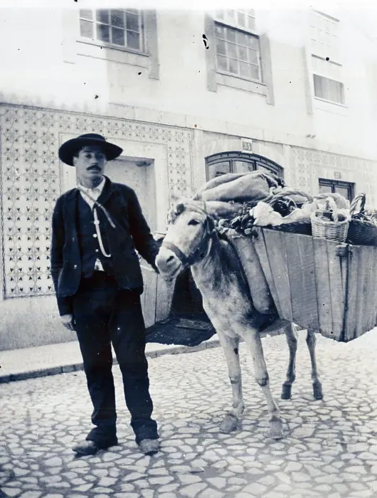 Framed Print : Portuguese fruit and vegetable vendor with donkey, Lisbon Framed Print : Portuguese fruit and vegetable vendor with donkey, Lisbon