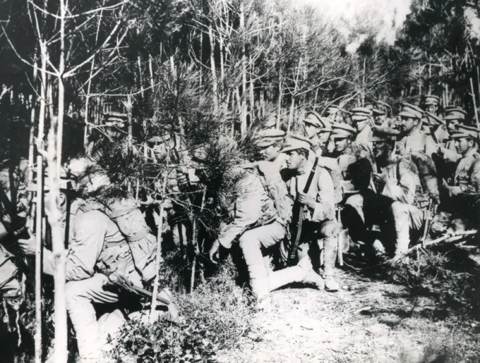 Framed Print : Portuguese soldiers advancing through a wood, WW1 Framed Print : Portuguese soldiers advancing through a wood, WW1