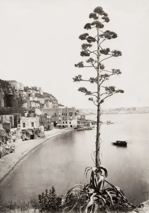 Framed Print : Posilippo, Bay of Naples, Italy Framed Print : Posilippo, Bay of Naples, Italy