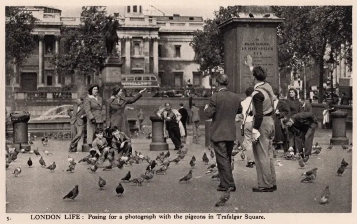 Framed Print : Posing for a photograph with the pigeons of Trafalgar Square Framed Print : Posing for a photograph with the pigeons of Trafalgar Square