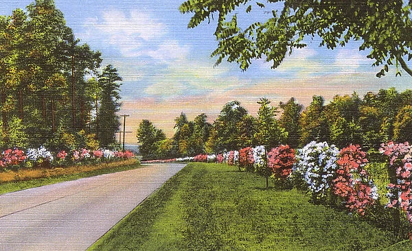 Postcard booklet, highway in Dixieland, USA