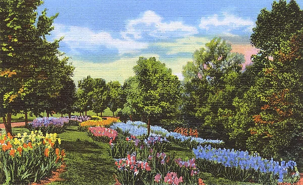 Postcard booklet, spring flowers, Dixieland, USA