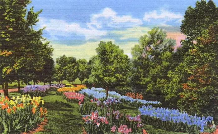 Framed Print : Postcard booklet, spring flowers, Dixieland, USA Framed Print : Postcard booklet, spring flowers, Dixieland, USA