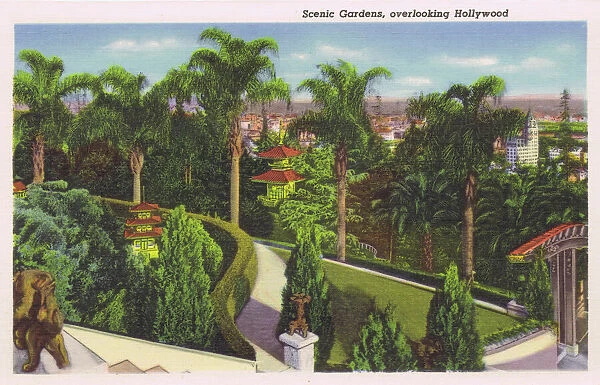 Postcard showing the scenic gardens overlloking Hollywood