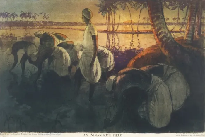 Framed Print : Poster depicting an Indian rice field Framed Print : Poster depicting an Indian rice field
