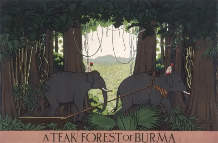 Framed Print : Poster depicting a teak forest in Burma Framed Print : Poster depicting a teak forest in Burma