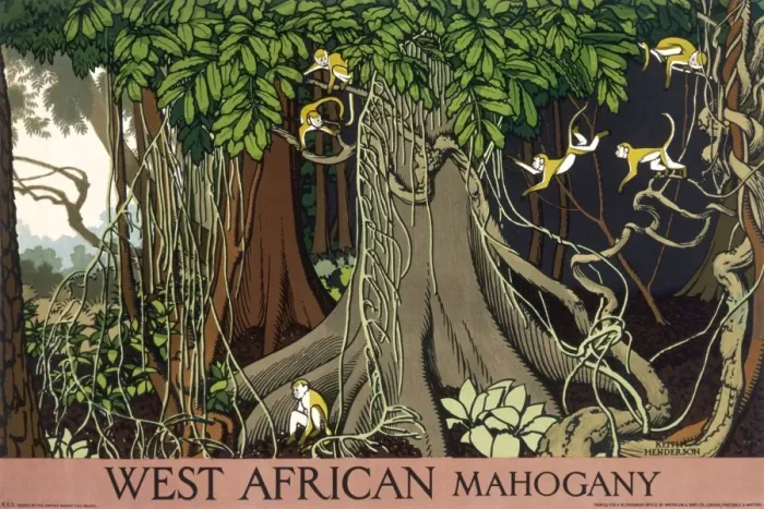 Framed Print : Poster depicting West African mahogany Framed Print : Poster depicting West African mahogany