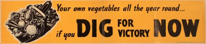 Framed Print : Poster, Dig For Victory Now, WW2 Framed Print : Poster, Dig For Victory Now, WW2