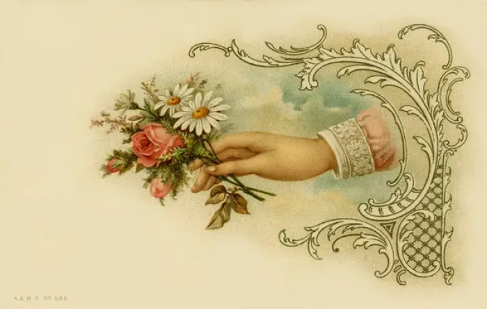 Framed Print : Posy of flowers Framed Print : Posy of flowers