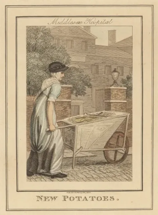 Framed Print : Potato Trader Framed Print : Potato Trader