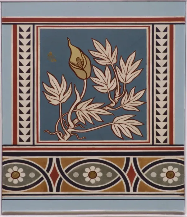 Framed Print : Pothos glaucus Framed Print : Pothos glaucus