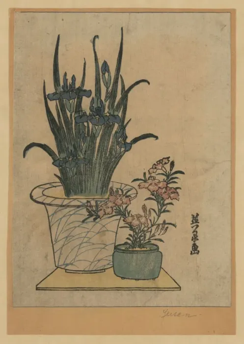 Framed Print : Potted irises and pinks Framed Print : Potted irises and pinks