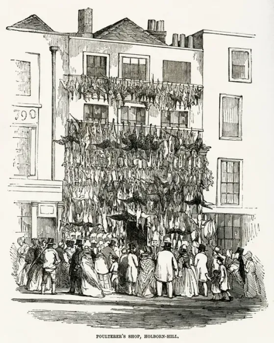 Framed Print : Poulterers shop, Holborn Hill 1845 Framed Print : Poulterers shop, Holborn Hill 1845