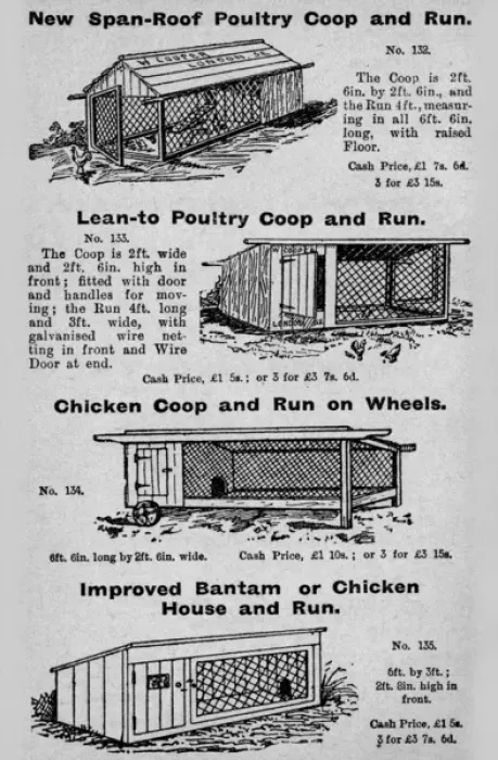 Framed Print : Poultry coops Framed Print : Poultry coops