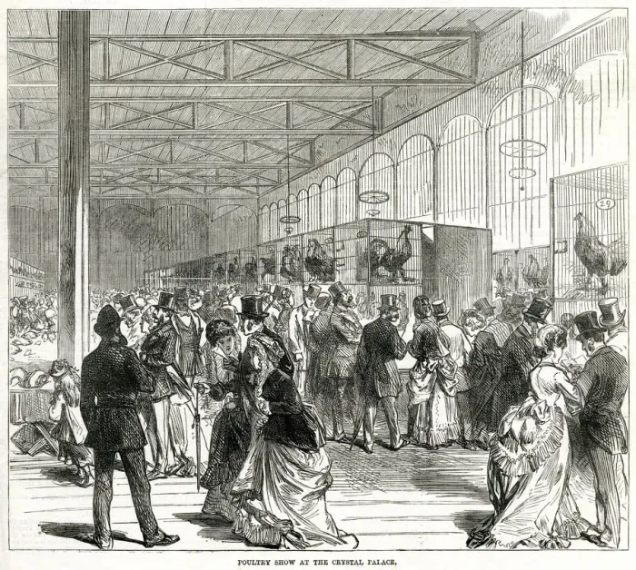 Framed Print : Poultry show at the Crystal Palace 1870 Framed Print : Poultry show at the Crystal Palace 1870