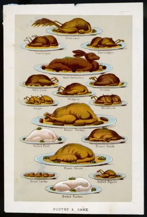 Framed Print : Poultry and Game Framed Print : Poultry and Game