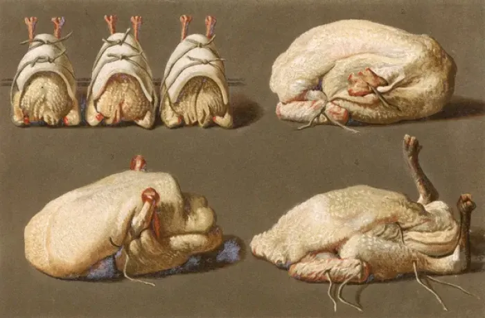 Framed Print : Poultry Ready to Cook Framed Print : Poultry Ready to Cook