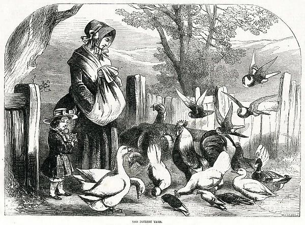 Poultry Yard 1856